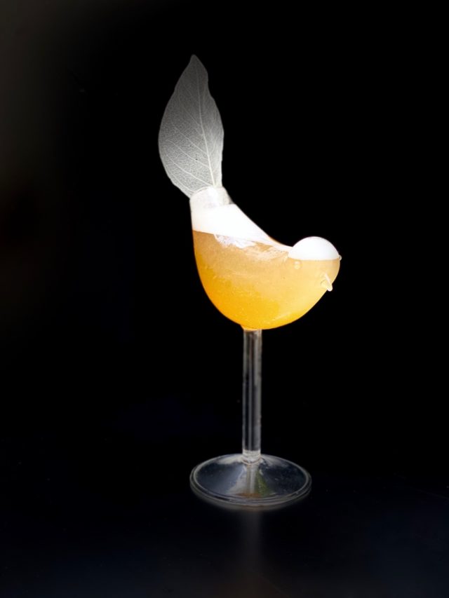 Cocktail Swallow